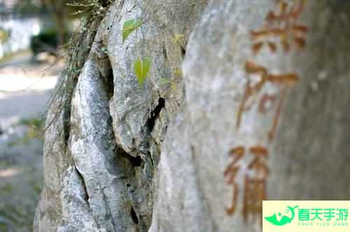 天书传奇，探索神秘文字的奇幻之旅-安卓苹果手游排行榜 好游戏尽在春天手游网